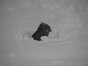 2008-12-20_Snow_Storm 077